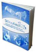SitStayFetch